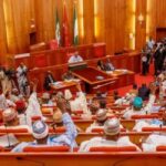 Yoruba, Igbo, Other Ethnic Nationalities Should Be Able To Exit ‘Freely’ From Nigeria – Proposal Before National Assembly Says