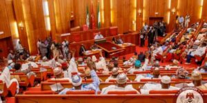 Yoruba, Igbo, Other Ethnic Nationalities Should Be Able To Exit ‘Freely’ From Nigeria – Proposal Before National Assembly Says